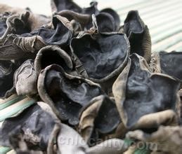 Auricularia Jingning