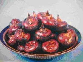 Dahongpao water chestnut