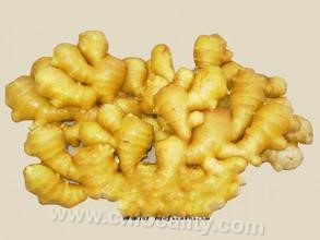 Pinghu ginger